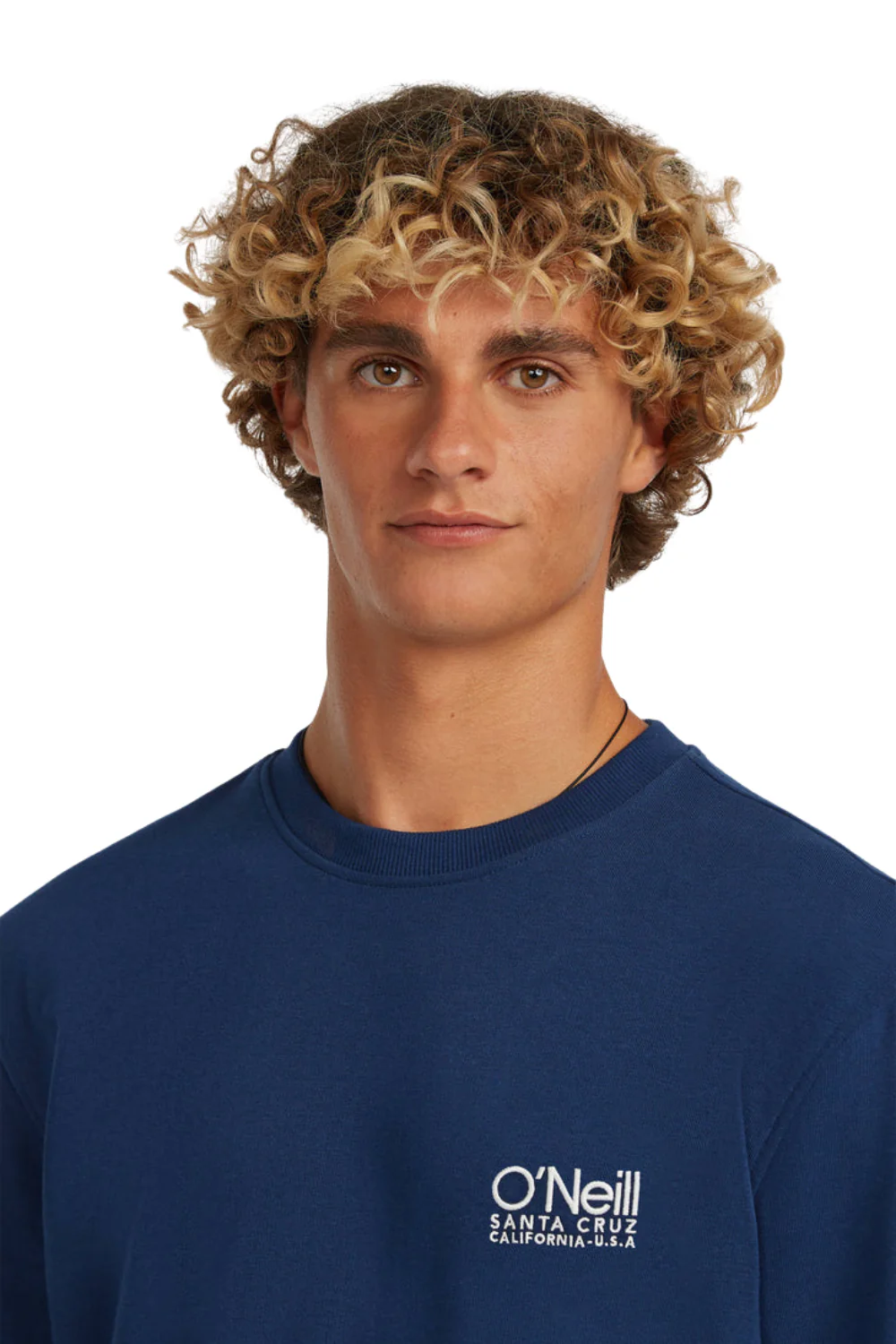 O'Neill O'Riginals Cali Mens Crewneck Sweatshirt English Evening - Image 4