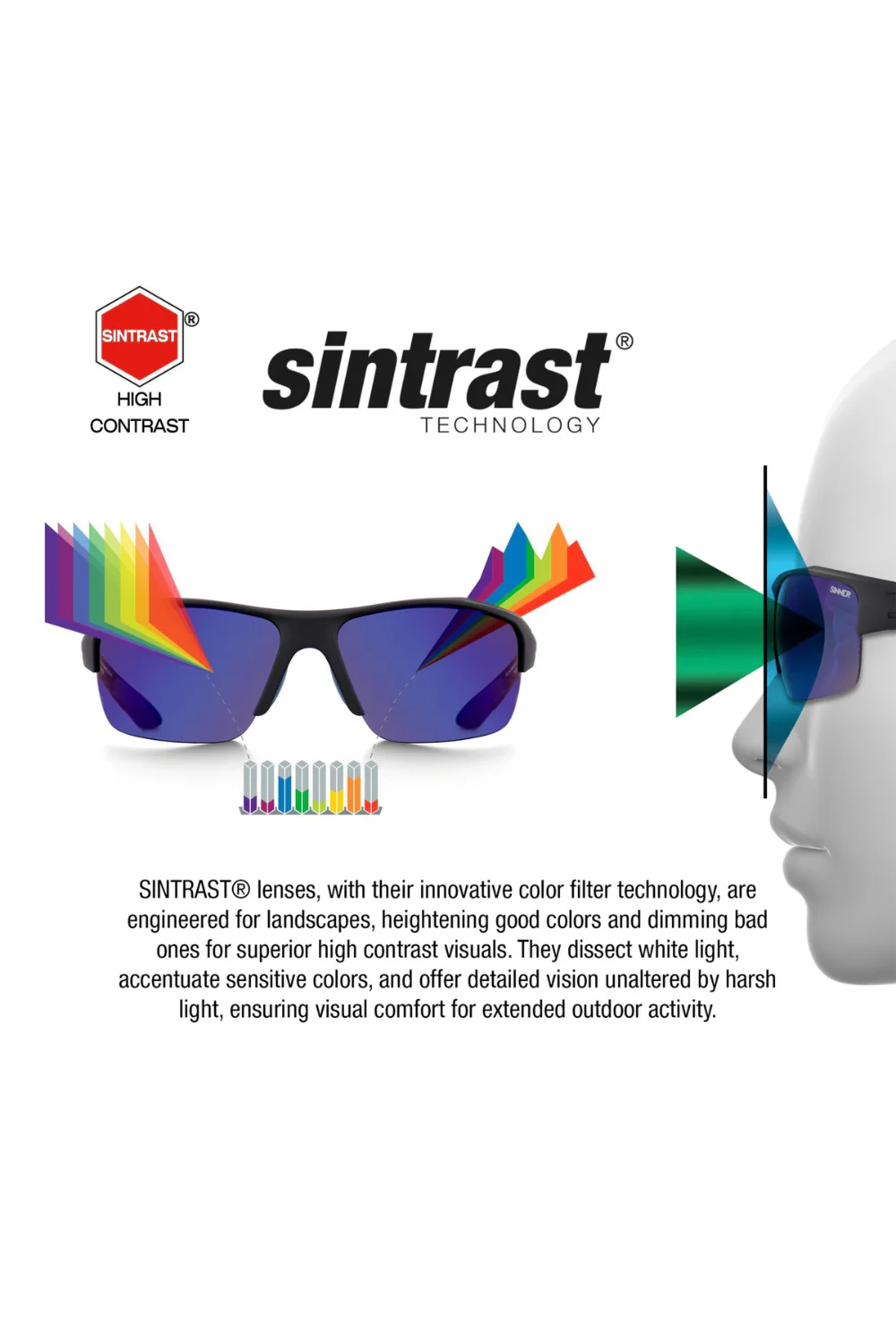 Sinner Boreas Snow Goggles Matte Black - Image 4